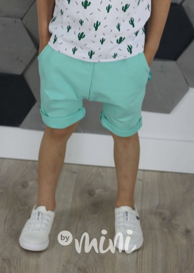 Kraťasy mint basic