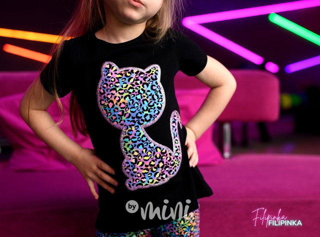 Rainbow cat set