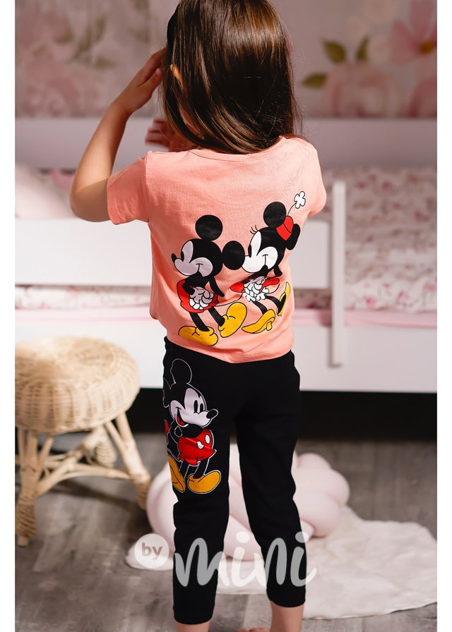 Minnie & Mickey set