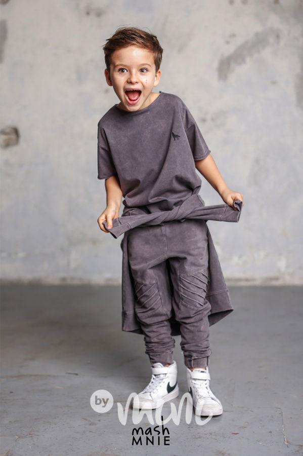 Mash Mnie triko vintage grey WOLVES