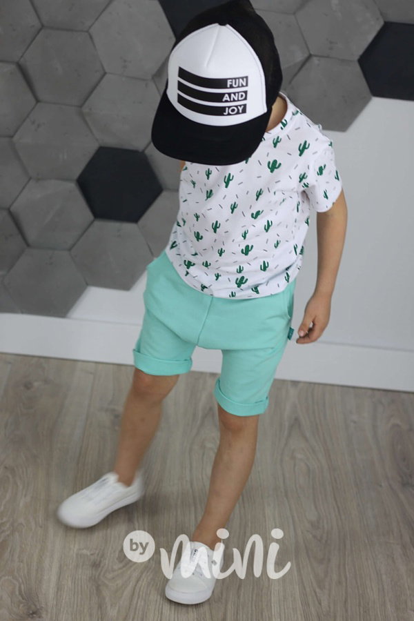 Kraťasy mint basic
