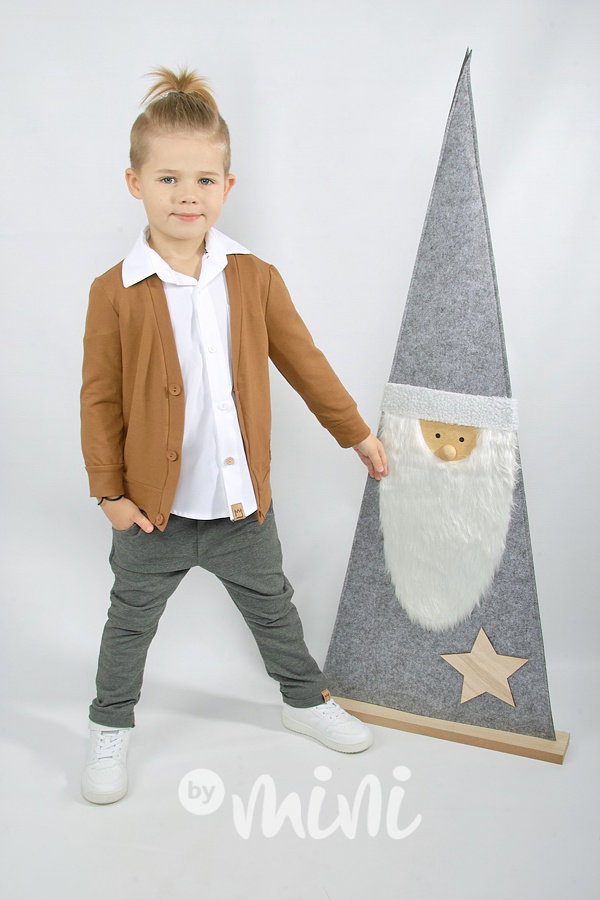 Elegant pants šedé
