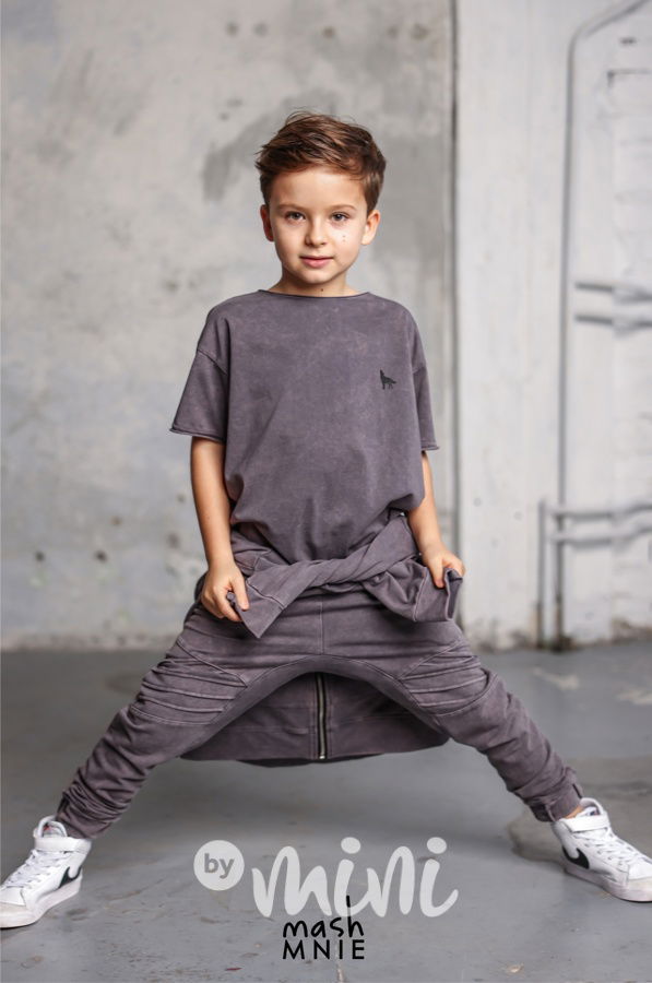 Mash Mnie triko vintage grey WOLVES