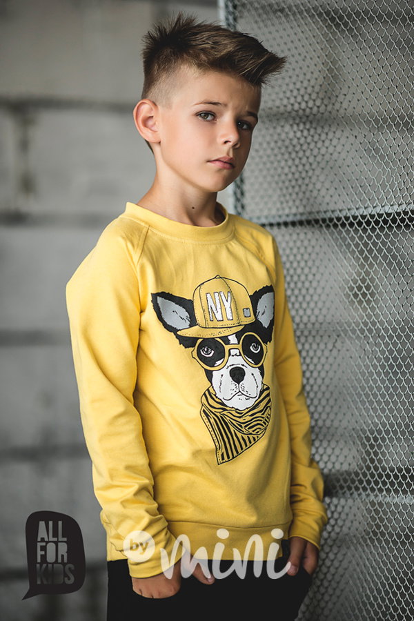 Stylish Dog mikina hořčicová