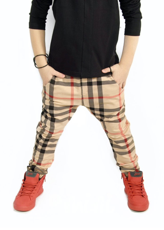 BB style elegant pants