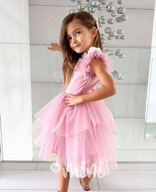 Luxusní pudr růžové šaty Roses