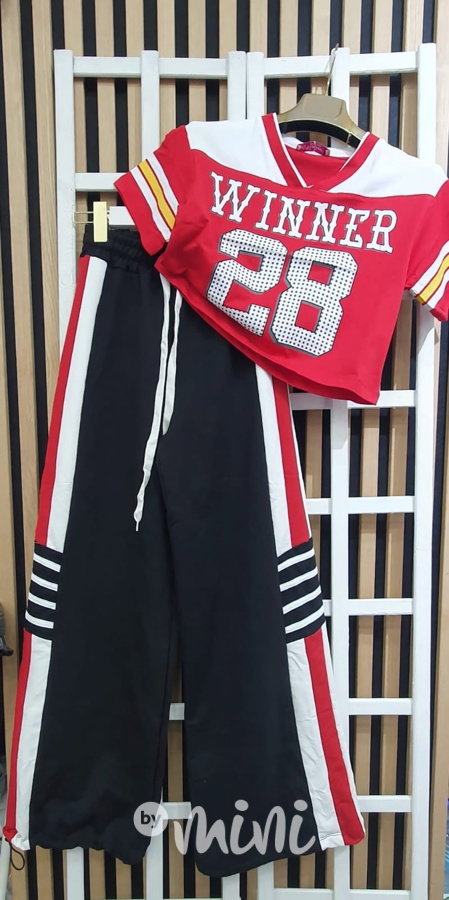 Winner crop oversize triko