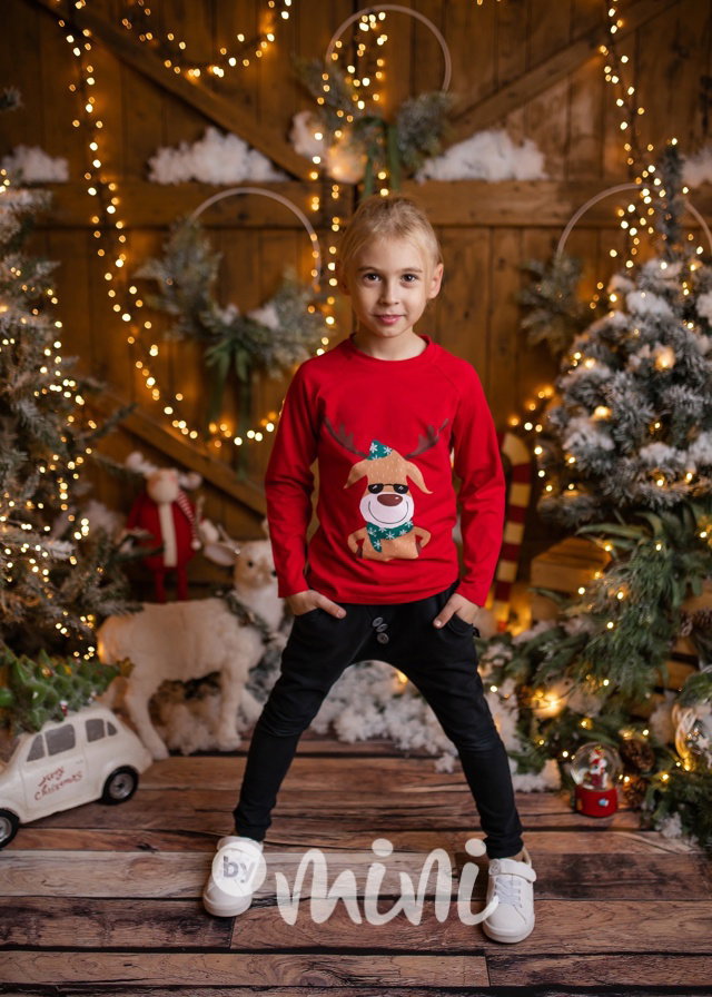 Cool sobík triko červené - boy