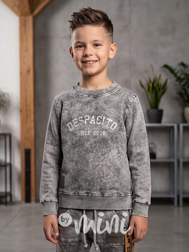 Despacito acid wash mikina grey