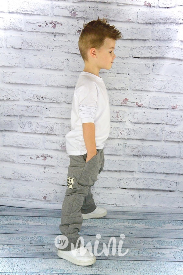 Los Angeles baggy light grey