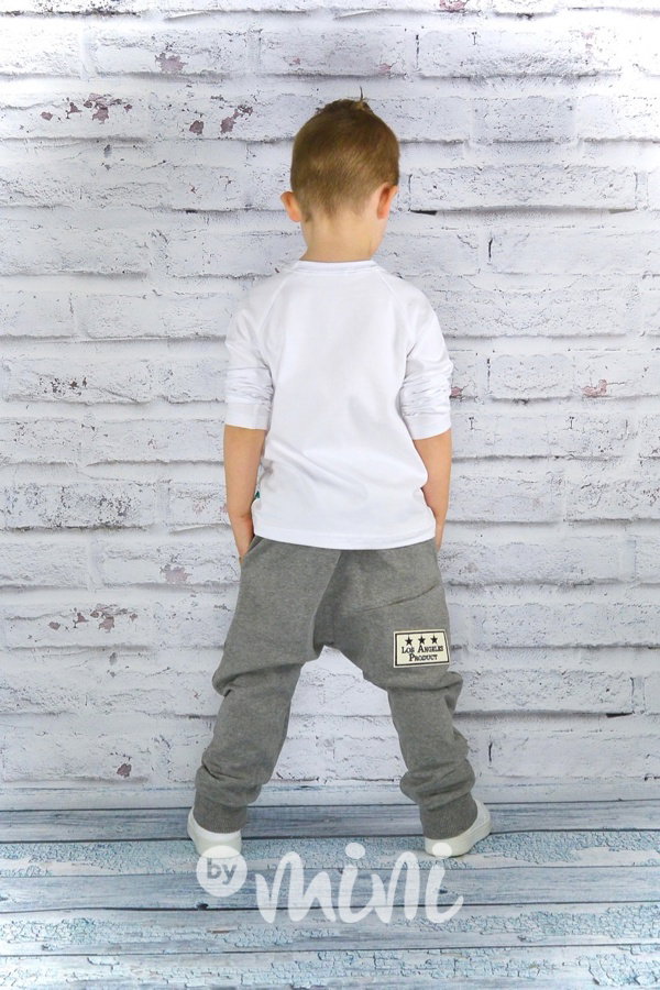 Los Angeles baggy light grey