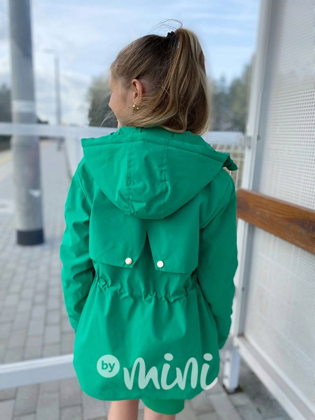 Green podzimní parka