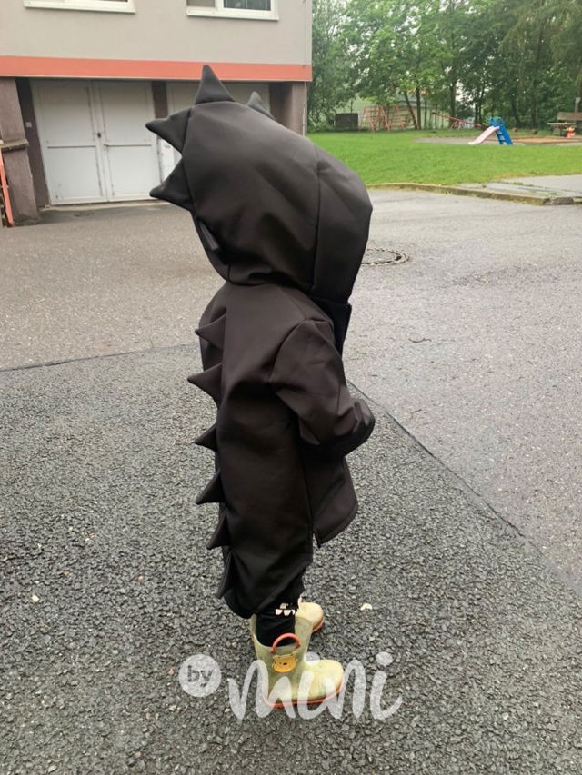 Dino softshell bunda černá