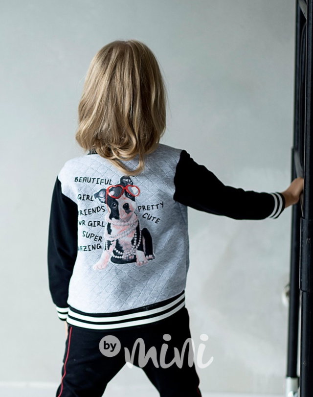 Fashion dog mikina grey