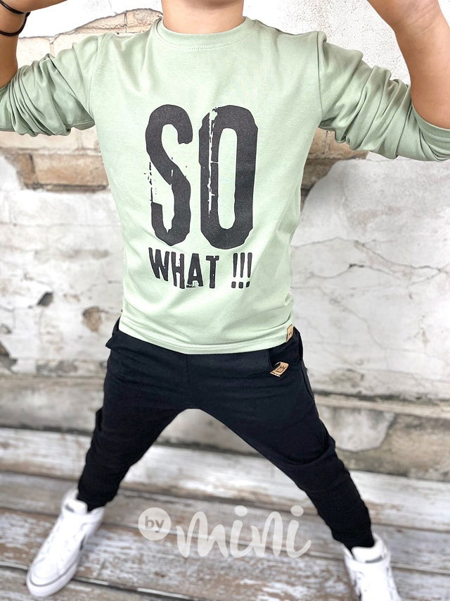 SO WHAT longsleeve triko cool mint