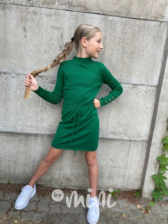 Svetříkové šaty green