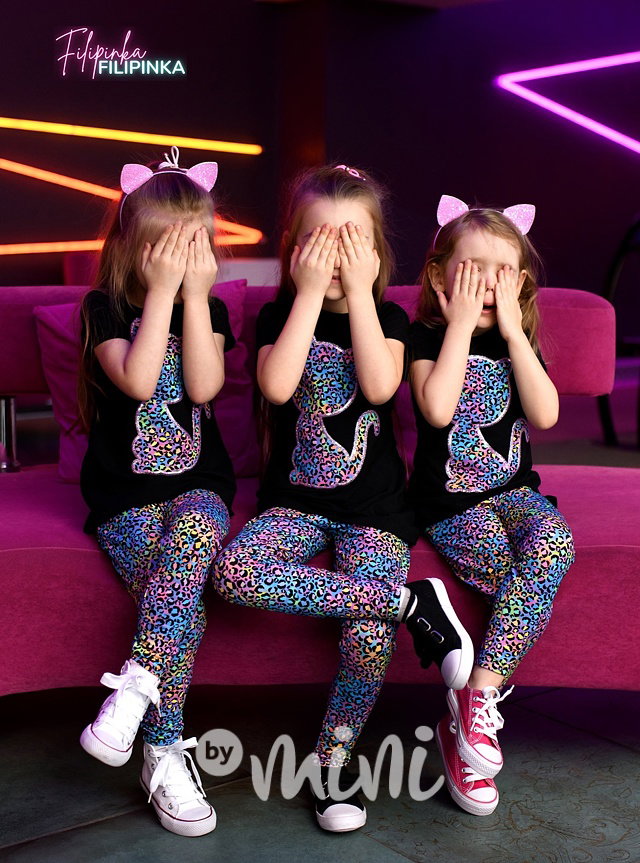 Rainbow cat set