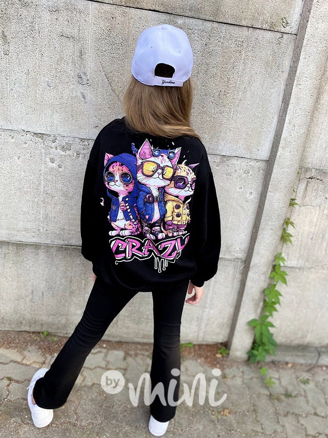 Crazy cats mikina black