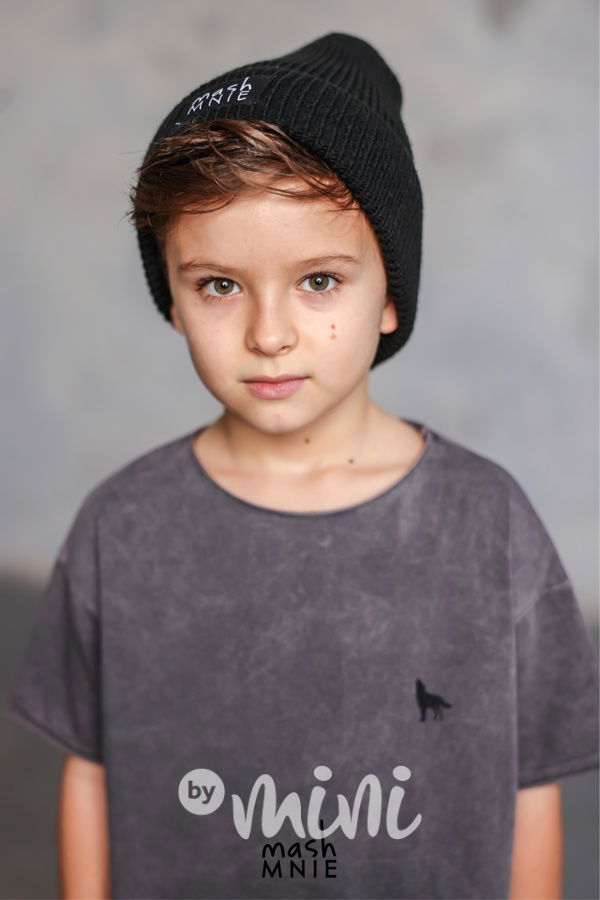 Mash Mnie triko vintage grey WOLVES