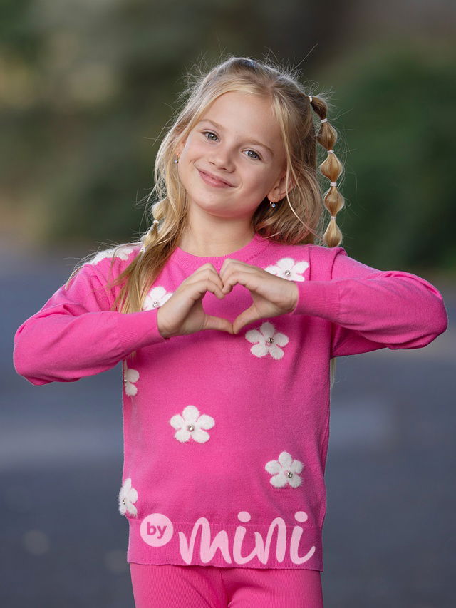 Růžový svetřík flowers