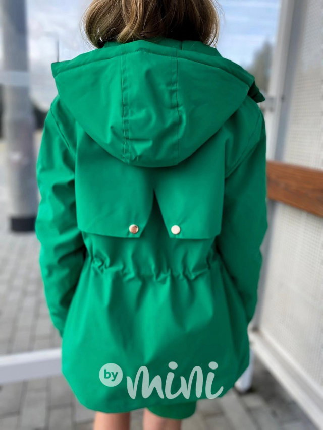 Green podzimní parka